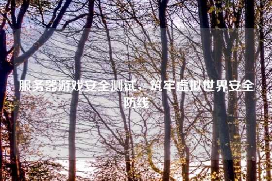 服务器游戏安全测试，筑牢虚拟世界安全防线