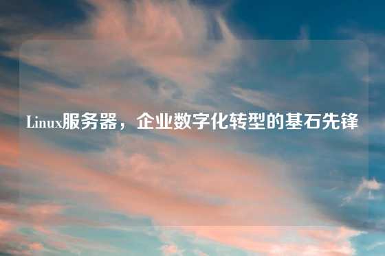 Linux服务器，企业数字化转型的基石先锋