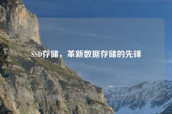 SSD存储，革新数据存储的先锋
