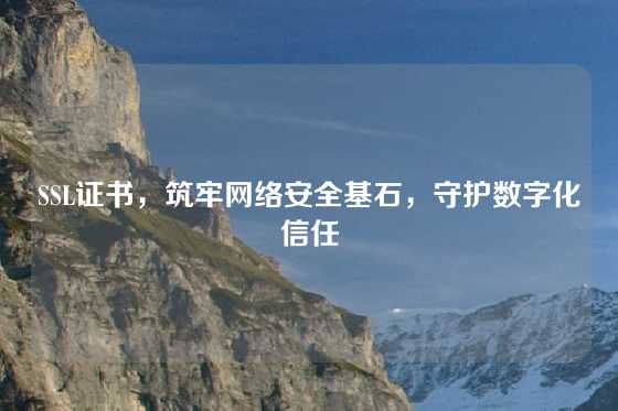 SSL证书，筑牢网络安全基石，守护数字化信任