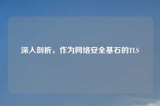 深入剖析，作为网络安全基石的TLS
