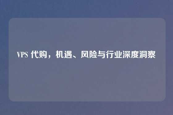 VPS 代购，机遇、风险与行业深度洞察
