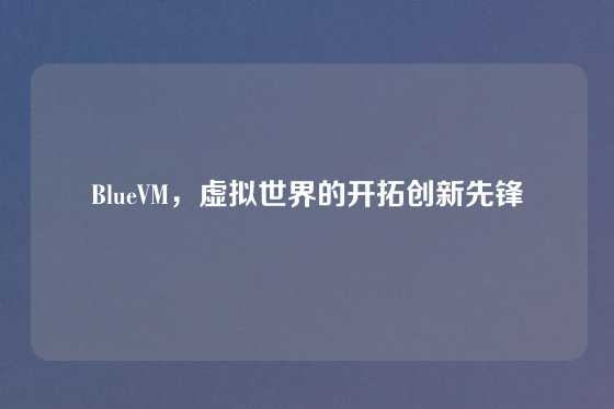 BlueVM，虚拟世界的开拓创新先锋