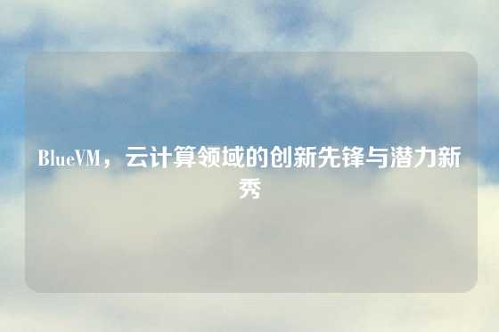 BlueVM，云计算领域的创新先锋与潜力新秀