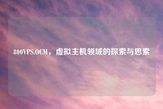 800VPS.OCM，虚拟主机领域的探索与思索
