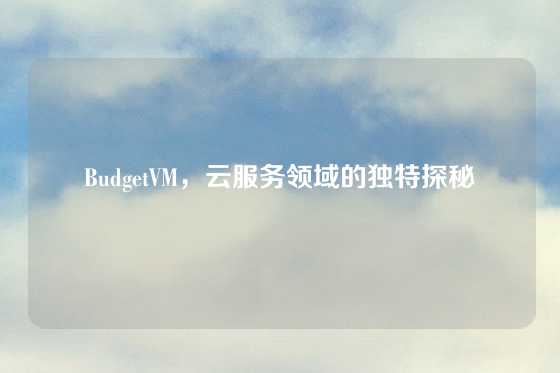 BudgetVM，云服务领域的独特探秘