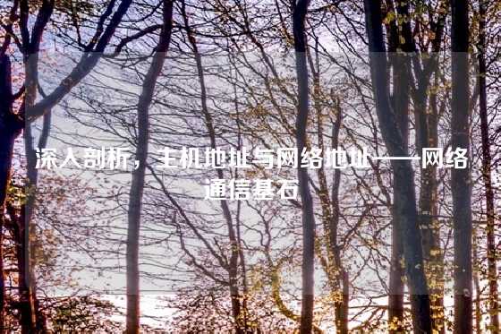 深入剖析，主机地址与网络地址——网络通信基石