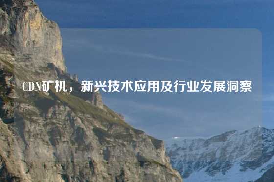 CDN矿机，新兴技术应用及行业发展洞察
