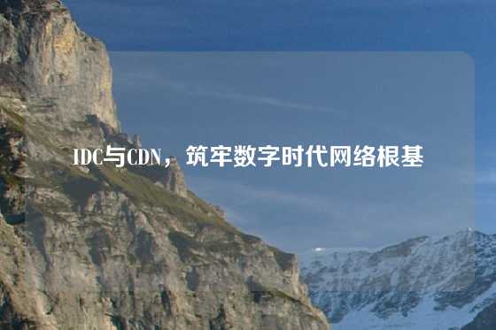 IDC与CDN，筑牢数字时代网络根基
