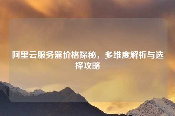 阿里云服务器价格探秘，多维度解析与选择攻略