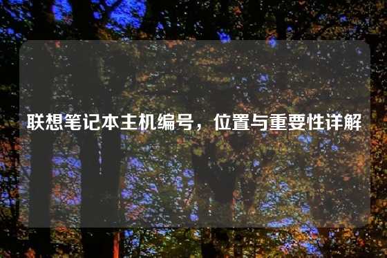 联想笔记本主机编号，位置与重要性详解