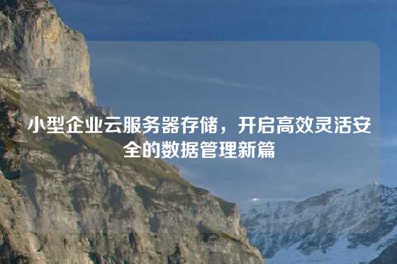 小型企业云服务器存储，开启高效灵活安全的数据管理新篇