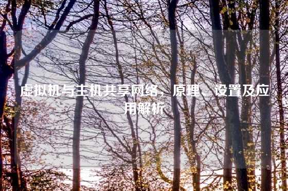 虚拟机与主机共享网络，原理、设置及应用解析