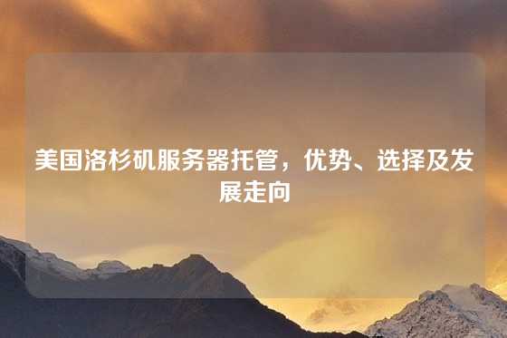 美国洛杉矶服务器托管，优势、选择及发展走向