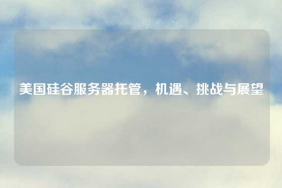 美国硅谷服务器托管，机遇、挑战与展望