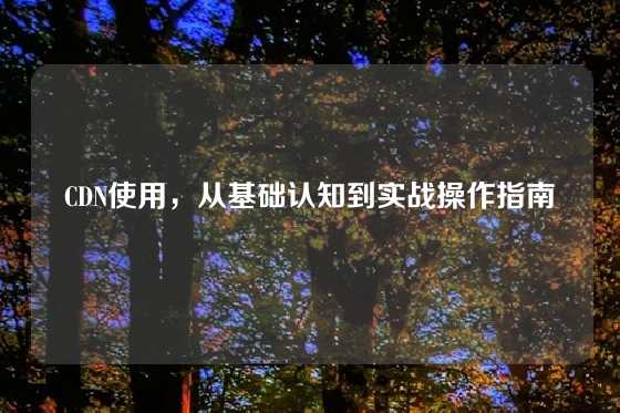 CDN使用，从基础认知到实战操作指南