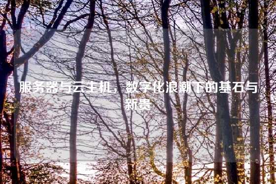 服务器与云主机，数字化浪潮下的基石与新贵
